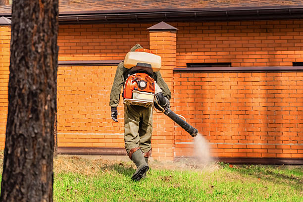 Top rated local Wasp Removal specialists in Fairport Harbor, OH